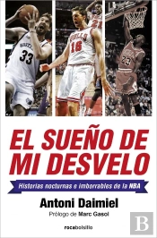El Sueño De Mi Desvelo