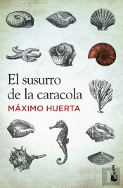 El Susurro De La Caracola