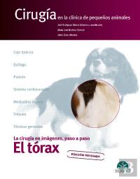 El Torax Cirugia En La Clinica De Pequeño