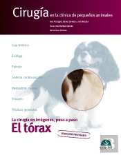 El Torax Cirugia En La Clinica De Pequeño