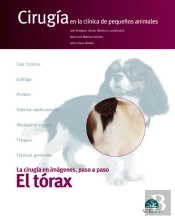 El Tórax. Cirugía En La Clínica De Pequeños Animales