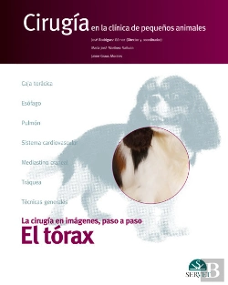 Bertrand.pt - El Tórax. Cirugía En La Clínica De Pequeños Animales