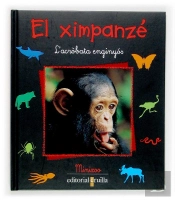El Ximpanzé