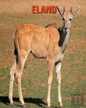 Eland