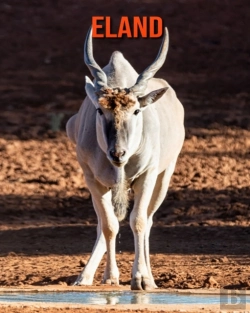 Bertrand.pt - Eland