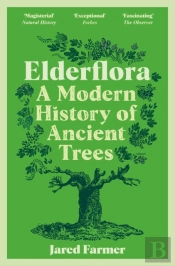 Elderflora