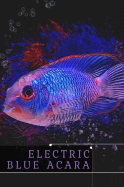 Bertrand.pt - Electric Blue Acara