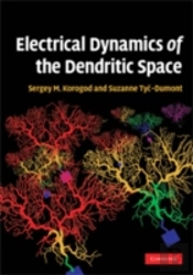 Electrical Dynamics Of The Dendritic Space