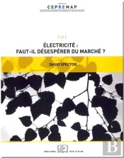 Électricité ; Faut-Il Désespérer Du Marché ?