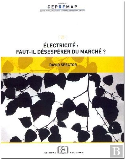 Bertrand.pt - Électricité ; Faut-Il Désespérer Du Marché ?