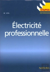 Electricite Professionnelle
