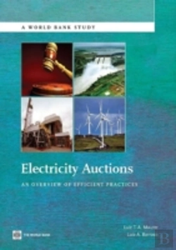 Bertrand.pt - Electricity Auctions