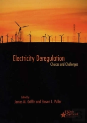 Electricity Deregulation