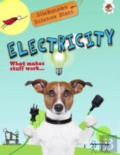 Electricity