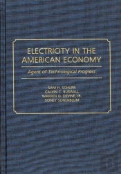 Electricity In The American Economy