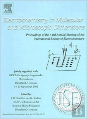 Electrochemistry In Molecular And Microscopic Dimensions