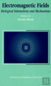 Electromagnetic Fields
