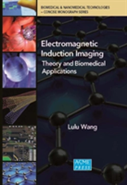 Bertrand.pt - Electromagnetic Induction Imaging