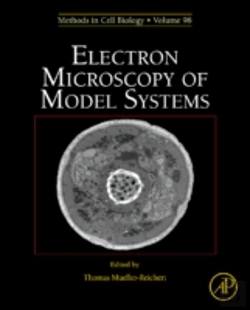 Bertrand.pt - Electron Microscopy Of Model Systems