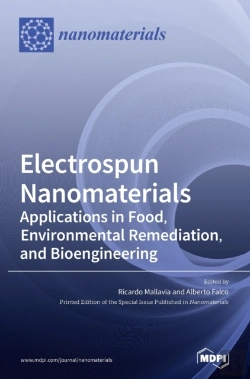 Bertrand.pt - Electrospun Nanomaterials