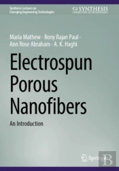 Electrospun Porous Nanofibers