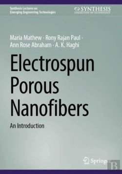 Bertrand.pt - Electrospun Porous Nanofibers