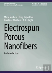 Electrospun Porous Nanofibers