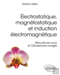Bertrand.pt - Électrostatique, Magnétostatique Et Induction Électromagnétique ; Résumés De Cours Et 120 Exercices Corrigés
