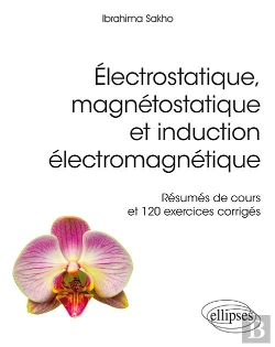 Bertrand.pt - Électrostatique, Magnétostatique Et Induction Électromagnétique - Résumés De Cours Et 120 Exercices Corrigés