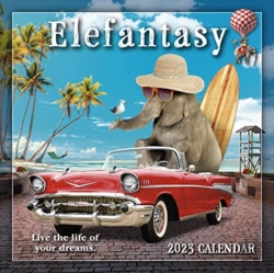 Bertrand.pt - Elefantasy