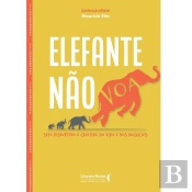 Elefante Não Voa