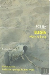Elegia