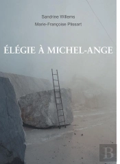 Elegie A Michel-Ange