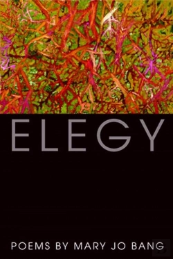 Bertrand.pt - Elegy