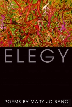 Bertrand.pt - Elegy
