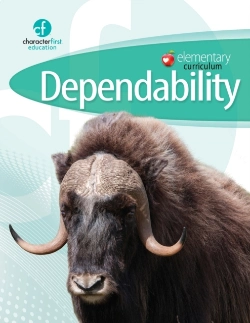 Bertrand.pt - Elementary Curriculum Dependability