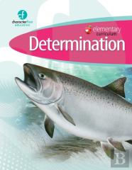 Elementary Curriculum Determination