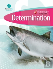 Elementary Curriculum Determination