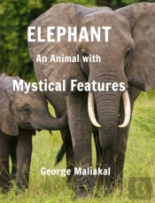 Elephant - An Animal With Mystical Features