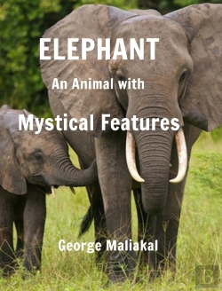Bertrand.pt - Elephant - An Animal With Mystical Features