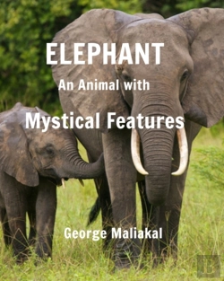 Bertrand.pt - Elephant - An Animal With Mystical Features