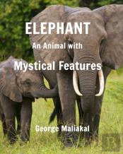 Elephant - An Animal With Mystical Features