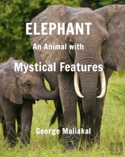 Bertrand.pt - Elephant - An Animal With Mystical Features