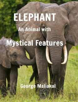Bertrand.pt - Elephant - An Animal With Mystical Features