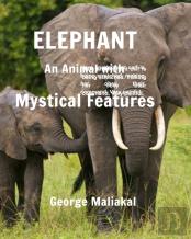 Elephant - An Animal With Mystical Features