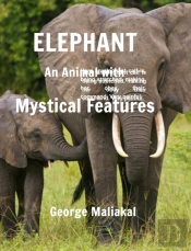 Elephant - An Animal With Mystical Features