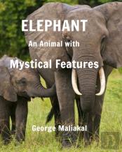 Elephant - An Animal With Mystical Features