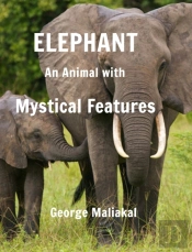 Elephant - An Animal With Mystical Features