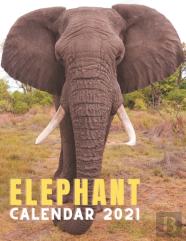 Elephant Calendar 2021