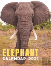 Elephant Calendar 2021